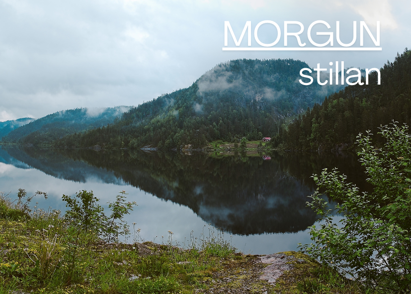 Featured Post Image - Morgunstillan