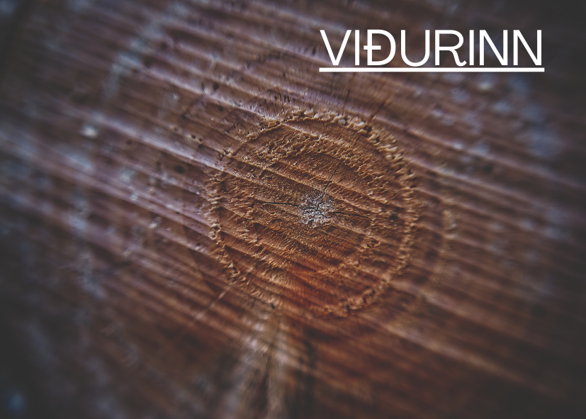 Featured Post Image - Viðurinn