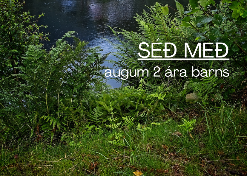 Featured Post Image - Séð með augum 2 ára barns